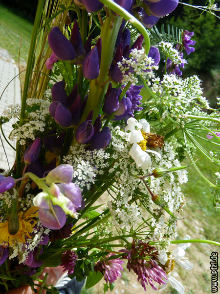 Blumenstrauß Blumenstrauß
