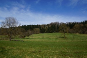 Zeltplatz Baierbacher Hof 2015
