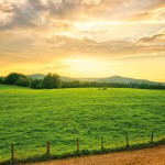 background_0414